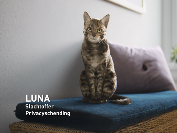 Overheidscampagne met katten tegen privacyschending social media