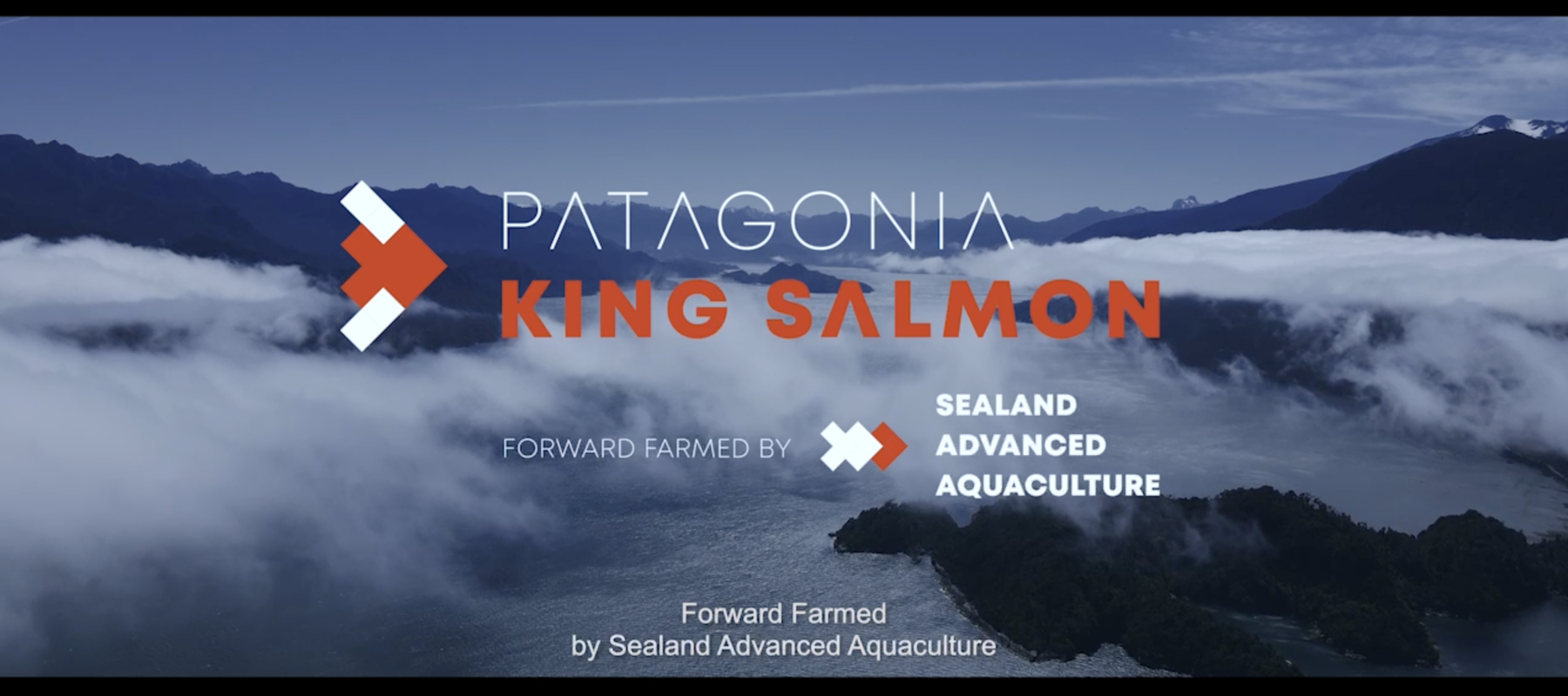 VENGEAN ontwikkelt branding Sealand Advanced Aquaculture en Patagonia King Salmon